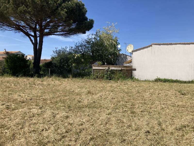 Vente Terrain ST PIERRE D OLERON - -560 m² - (17310)