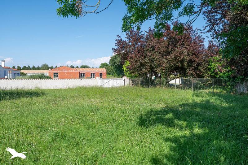 Vente Terrain ST GEORGES D OLERON - -632 m² - (17190)