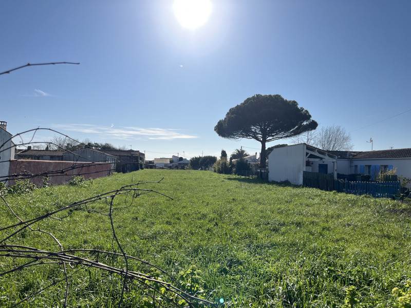 Vente Terrain ST PIERRE D OLERON - -437 m² - (17310)
