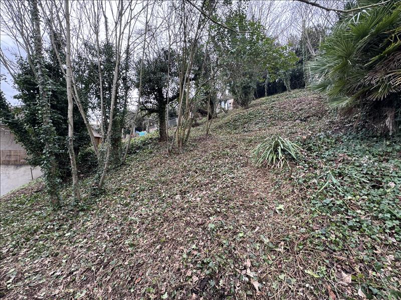 Vente Terrain ANGOULEME - -504 m² - (16000)