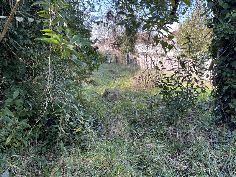 Vente Terrain SOYAUX - -469 m² - (16800)