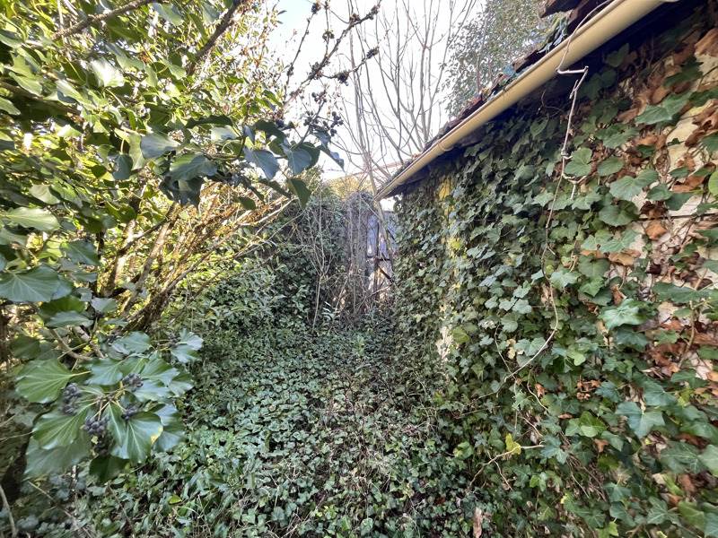 Vente Terrain SOYAUX - -469 m² - (16800)