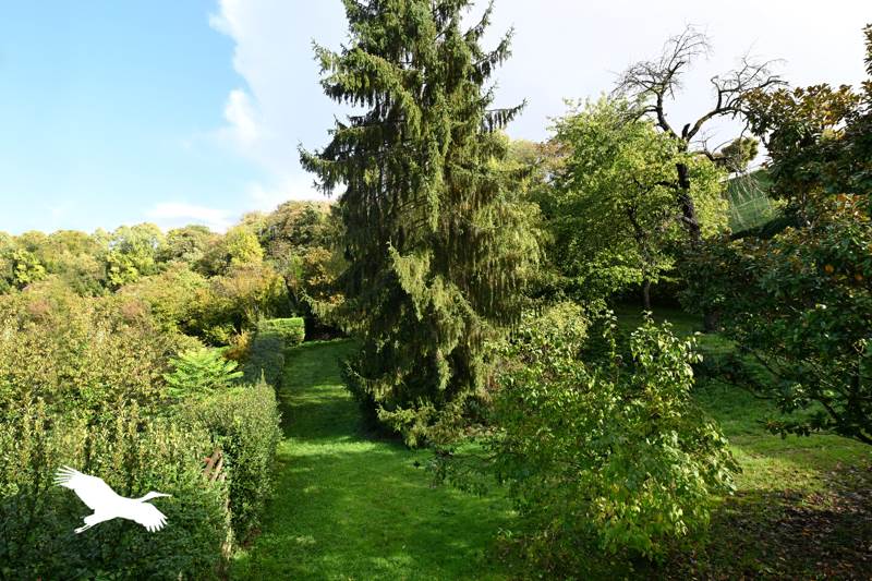 Vente Maison ANGOULEME - 5 pièces -115 m² - (16000)