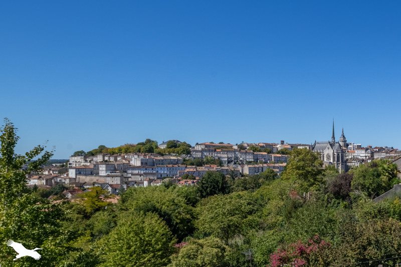 Vente Appartement ANGOULEME - 4 pièces -108 m² - (16000)