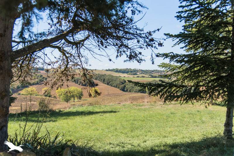 Vente Maison STE CAMELLE - 5 pièces -172,8 m² - (11410)