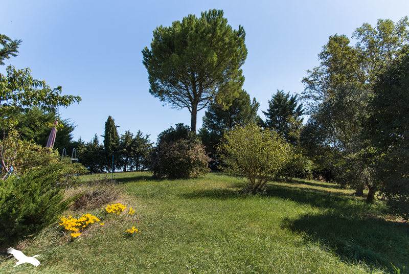 Vente Maison STE CAMELLE - 5 pièces -172,8 m² - (11410)
