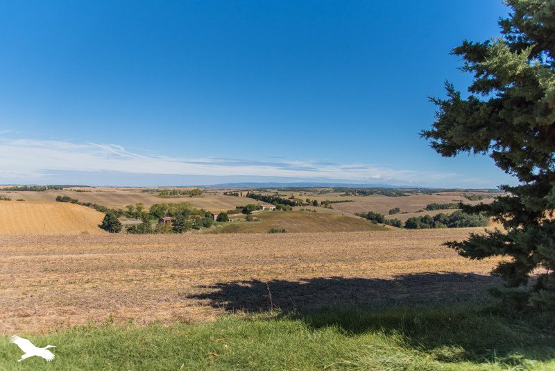 Vente Maison STE CAMELLE - 5 pièces -172,8 m² - (11410)