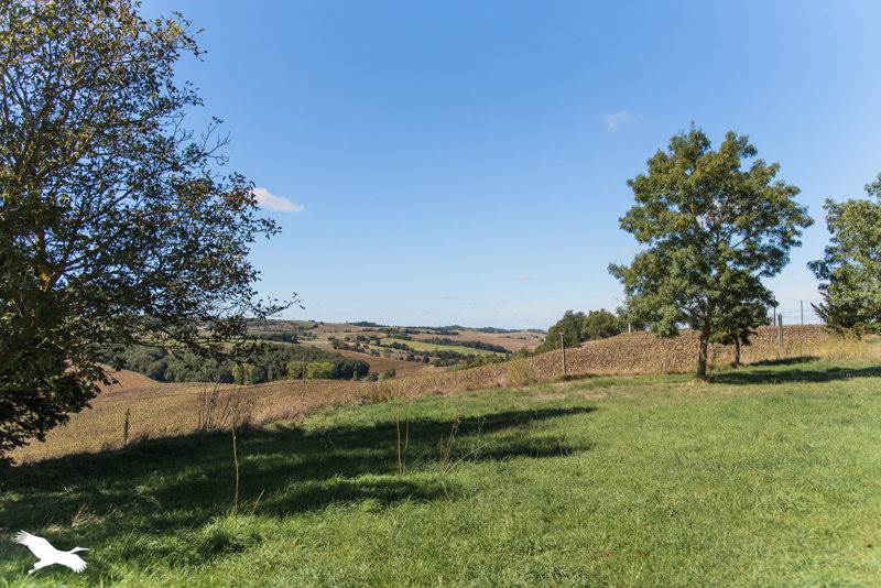 Vente Maison STE CAMELLE - 5 pièces -172,8 m² - (11410)