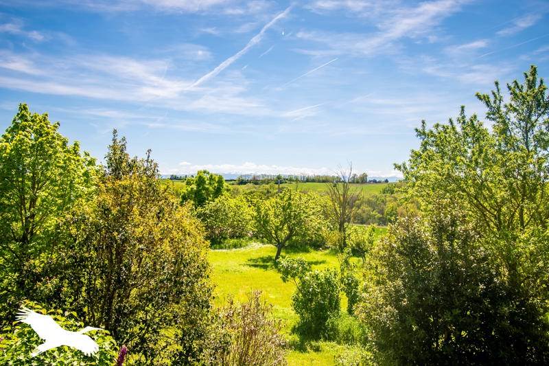 Vente Maison AIGNES - 6 pièces -285 m² - (31550)