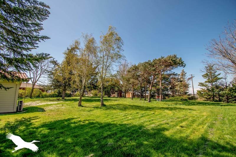 Vente Maison MONTGEARD - 6 pièces -258 m² - (31560)