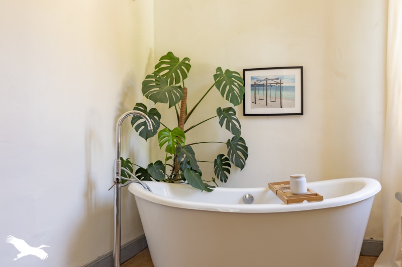 Vente Maison CALMONT - 3 pièces -112,3 m² - (31560)