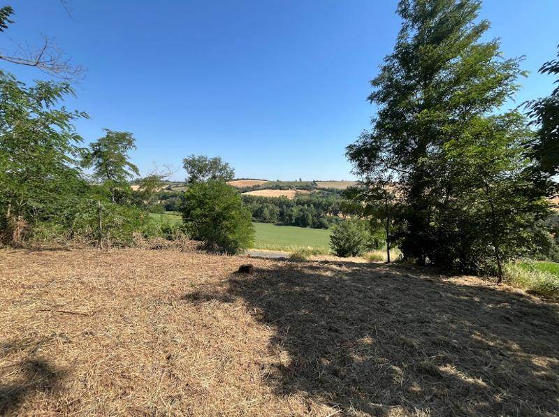 Vente Terrain CAIGNAC - -673 m² - (31560)
