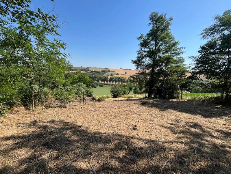 Vente Terrain CAIGNAC - -673 m² - (31560)