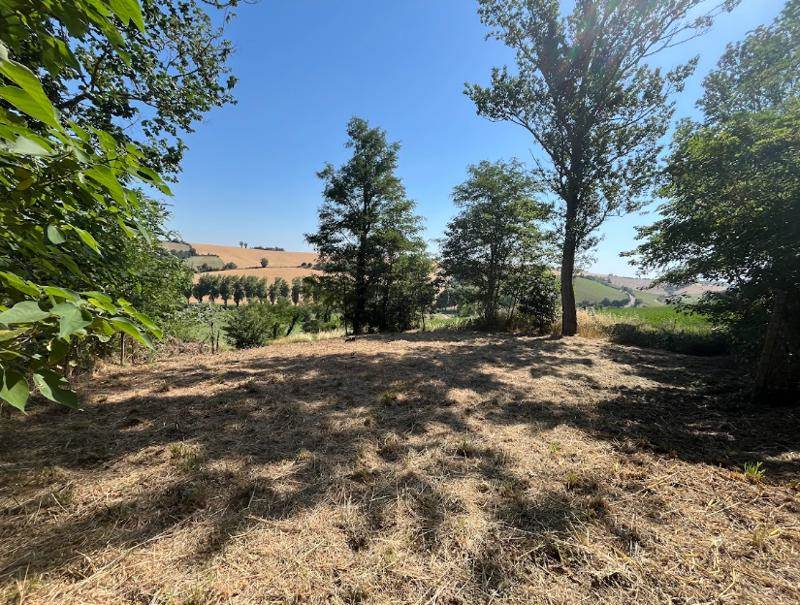 Vente Terrain CAIGNAC - -673 m² - (31560)
