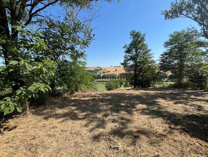 Vente Terrain CAIGNAC - -673 m² - (31560)