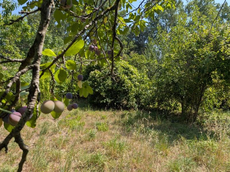 Vente Maison SALLES SUR L HERS - 4 pièces -95 m² - (11410)