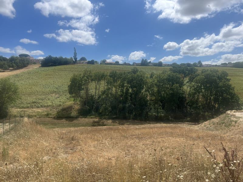 Vente Terrain NAILLOUX - -878 m² - (31560)