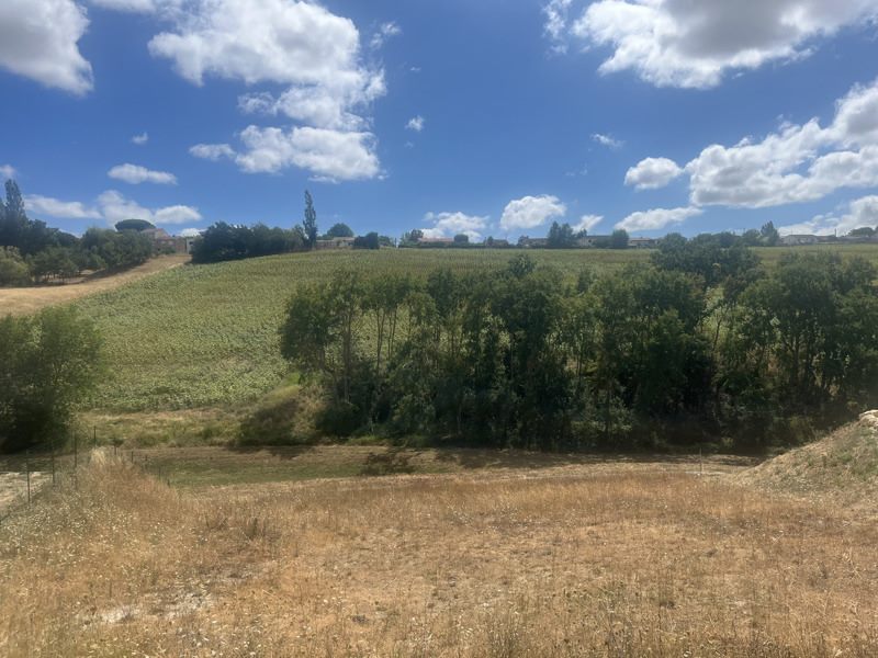 Vente Terrain NAILLOUX - -878 m² - (31560)