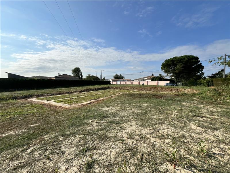 Vente Terrain DUNES - -1502 m² - (82340)