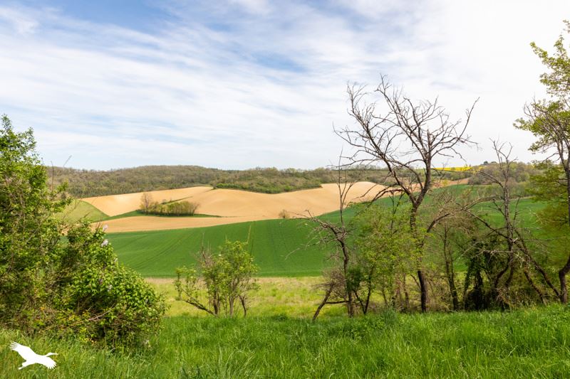 Vente Maison PUYMIROL - 4 pièces -170 m² - (47270)