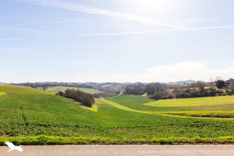 Vente Maison ST PAUL D ESPIS - 4 pièces -119 m² - (82400)