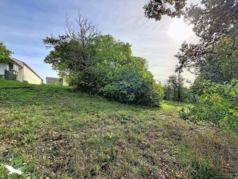 Vente Maison Sistels - 4 pièces -125 m² - (82340)