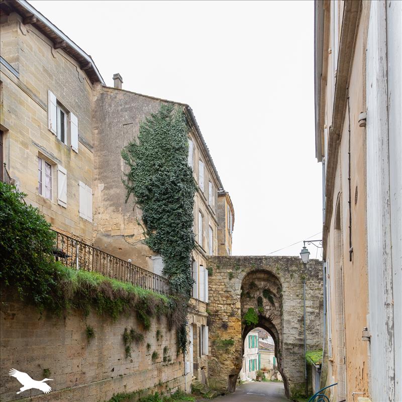 Vente Immeuble BOURG - -  271 m² - (33710)