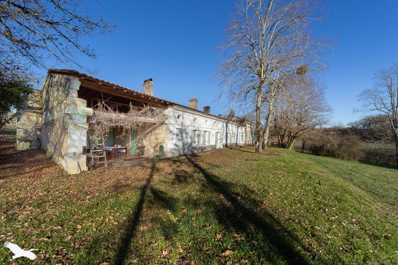 Vente Maison ST SEURIN DE BOURG - 8 pièces -213 m² - (33710)