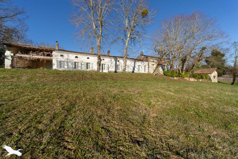 Vente Maison ST SEURIN DE BOURG - 8 pièces -213 m² - (33710)