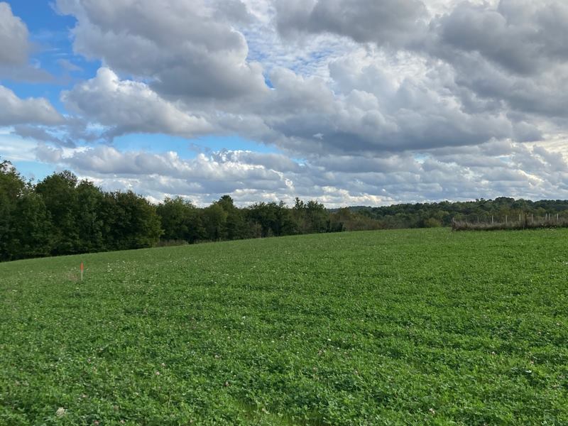Vente Terrain ST SAUVEUR LALANDE - -1722 m² - (24700)