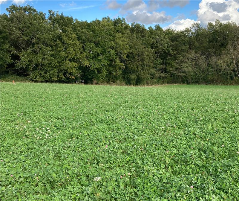 Vente Terrain ST SAUVEUR LALANDE - -1722 m² - (24700)