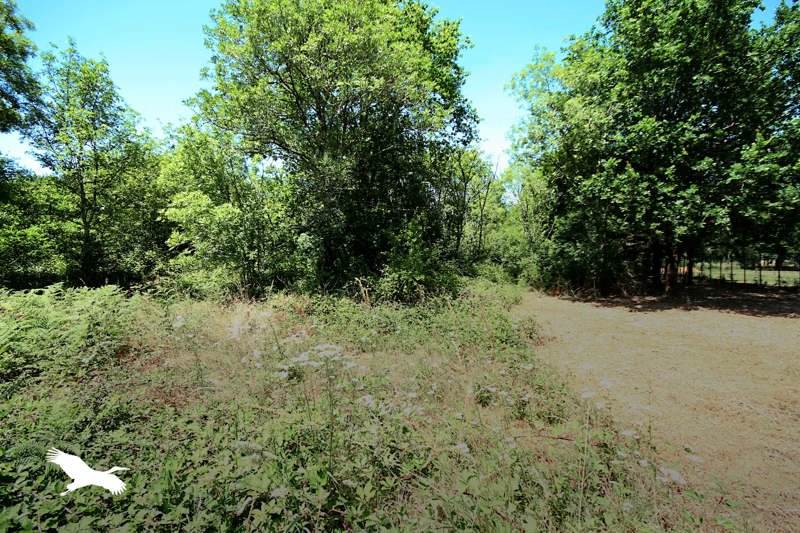 Vente Maison MENESPLET - 5 pièces -135 m² - (24700)