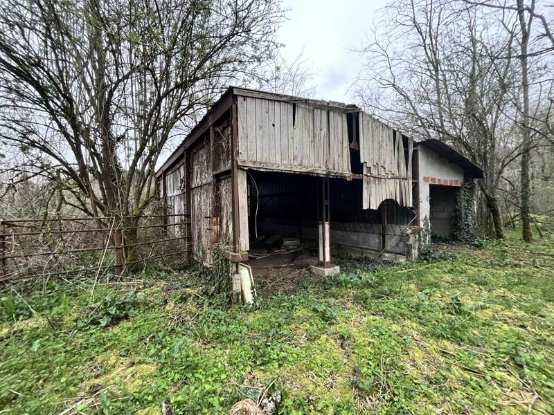 Vente Grange LE PIZOU - 4 pièces -60 m² - (24700)