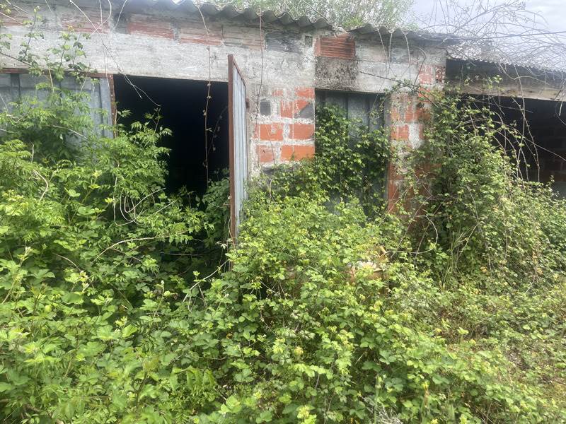Vente Maison LE PIZOU - 4 pièces -97 m² - (24700)