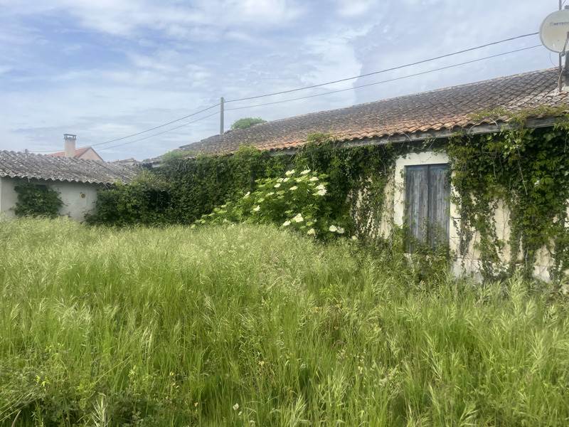 Vente Maison LE PIZOU - 4 pièces -97 m² - (24700)