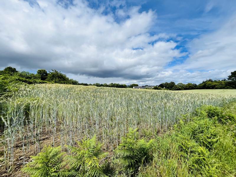 Vente Maison ST THURIEN - 4 pièces -79 m² - (29380)