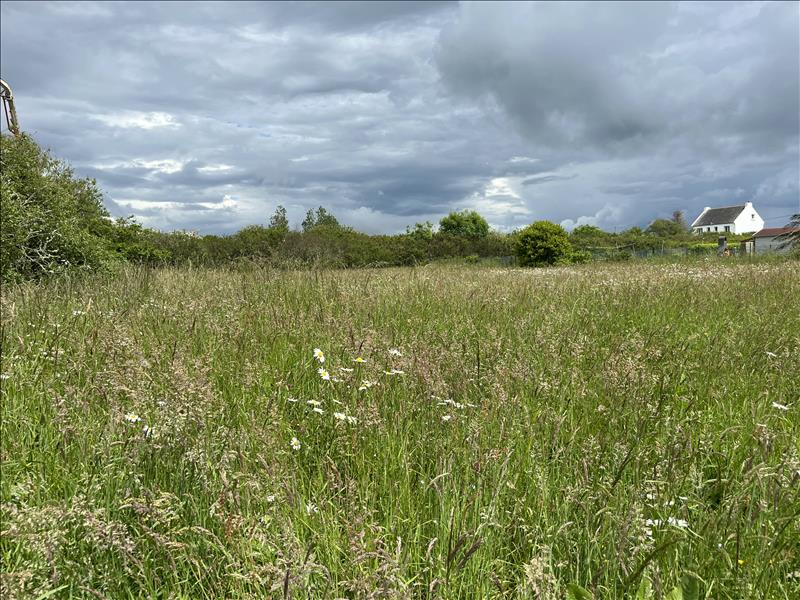 Vente Terrain CAMARET SUR MER - -1355 m² - (29570)