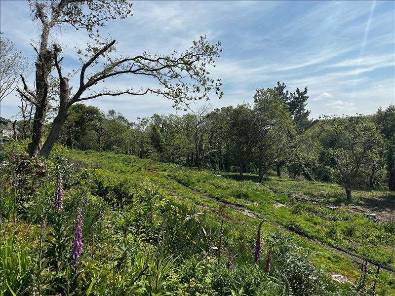 Vente Terrain PLOULEC H - -19292 m² - (22300)