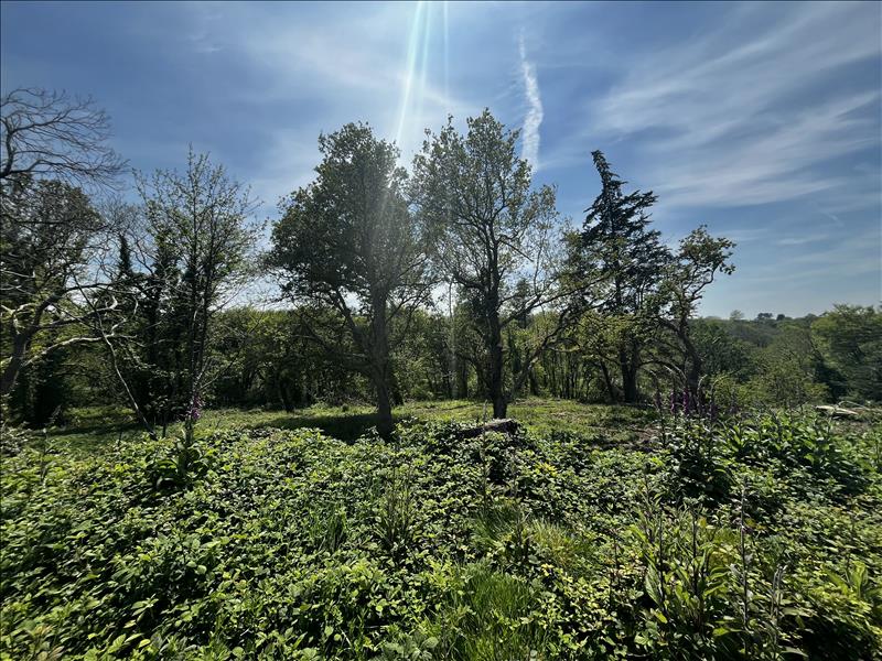 Vente Terrain PLOULEC H - -19292 m² - (22300)