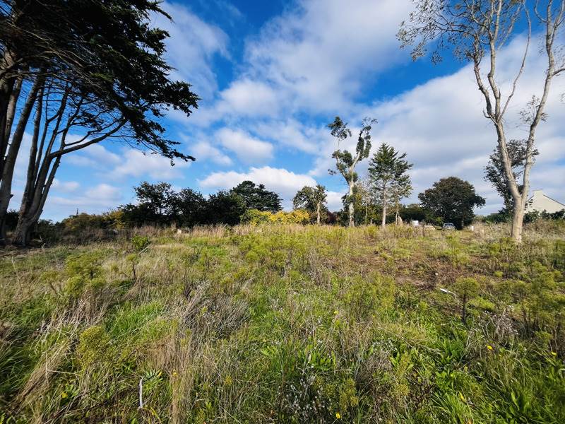 Vente Terrain PLOULEC H - -908 m² - (22300)