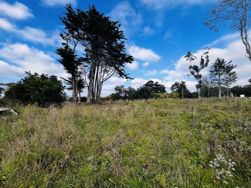 Vente Terrain PLOULEC H - -908 m² - (22300)