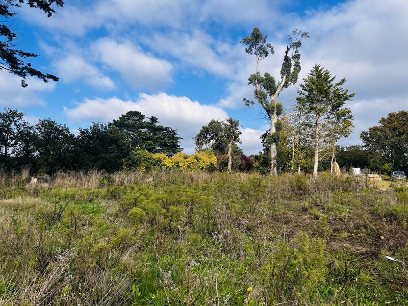 Vente Terrain PLOULEC H - -774 m² - (22300)