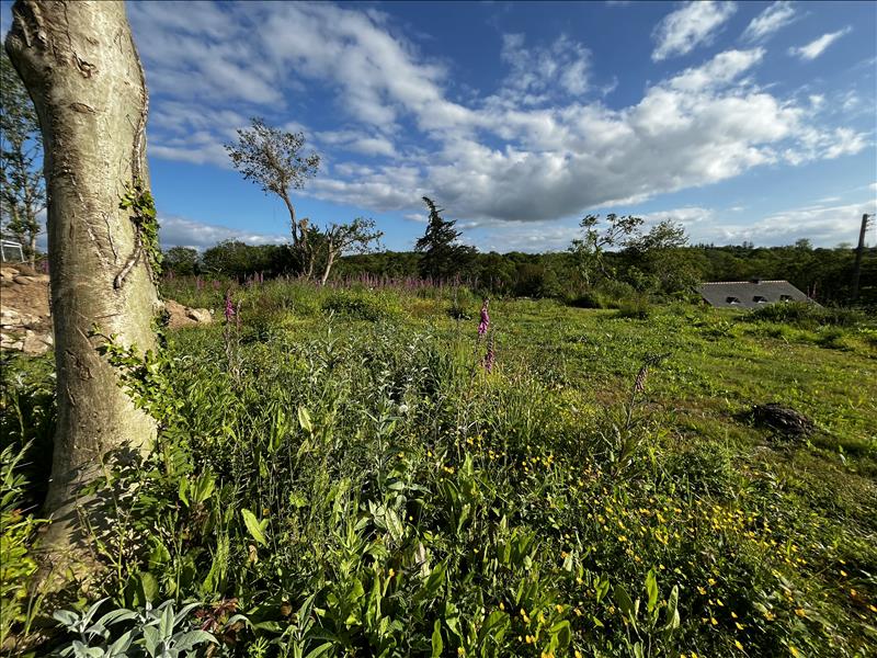 Vente Terrain PLOULEC H - -774 m² - (22300)