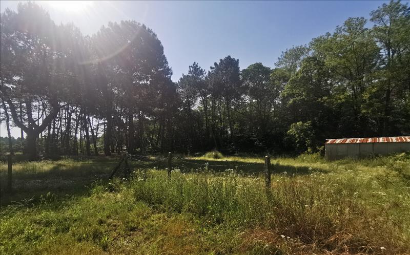 Vente Terrain à bâtir ST AUBIN DE MEDOC - -622 m² - (33160)