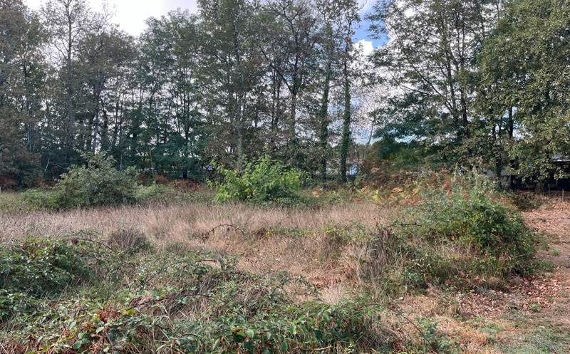 Vente Terrain SALAUNES - -930 m² - (33160)