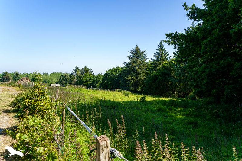 Vente Maison PLOUGOURVEST - 8 pièces -210 m² - (29400)