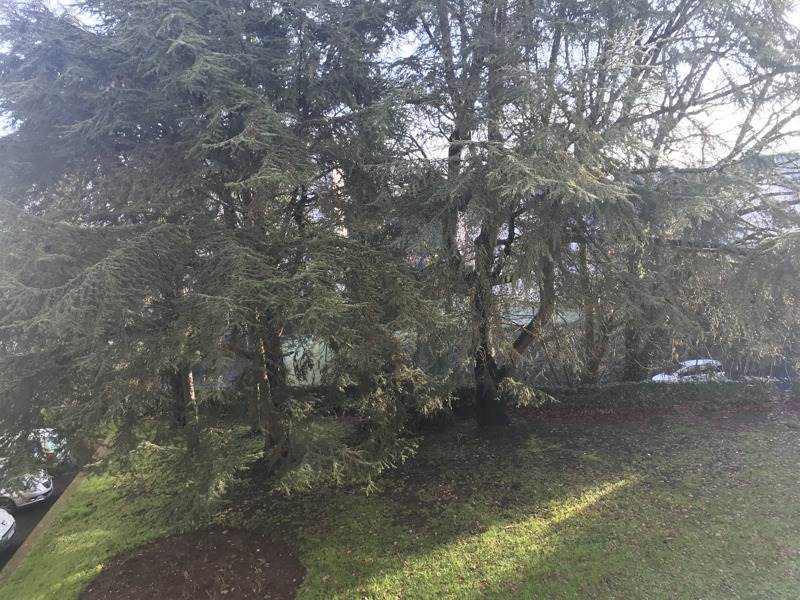 Vente Appartement MORLAIX - 3 pièces -67 m² - (29600)