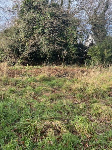 Vente Terrain GOUESNOU - -891 m² - (29850)
