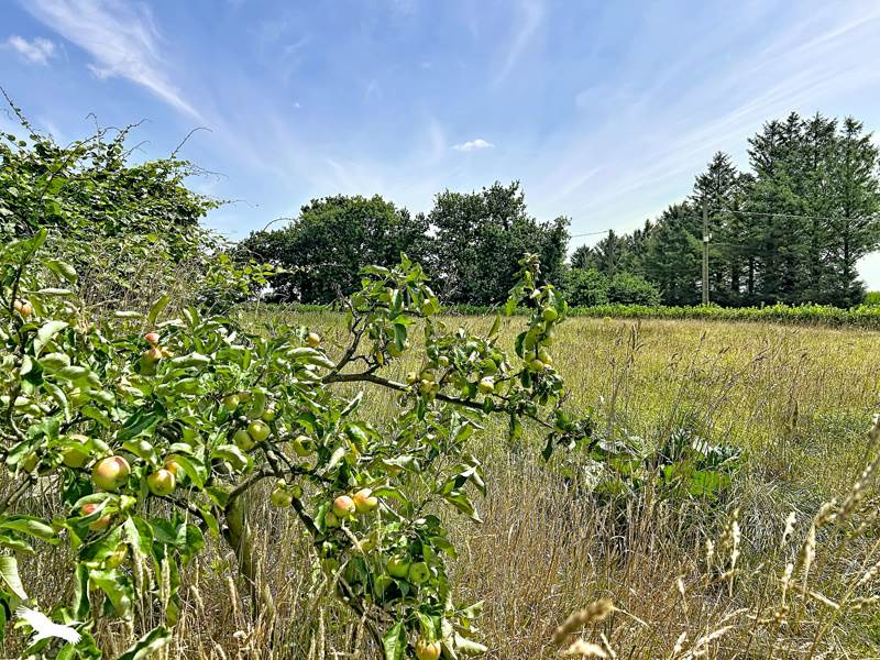 Vente Maison PLABENNEC - 7 pièces -108 m² - (29860)