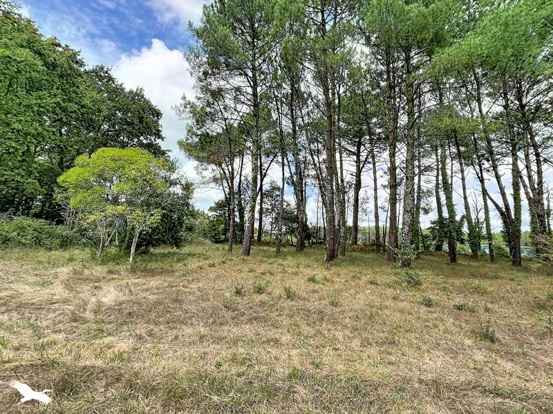 Vente Maison Magescq - 4 pièces -80 m² - (40140)